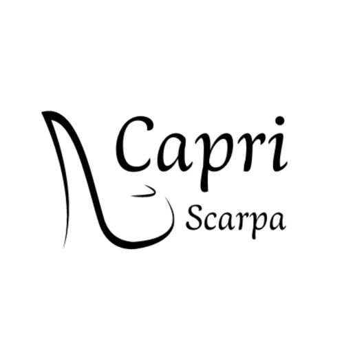 capriscarpa.com